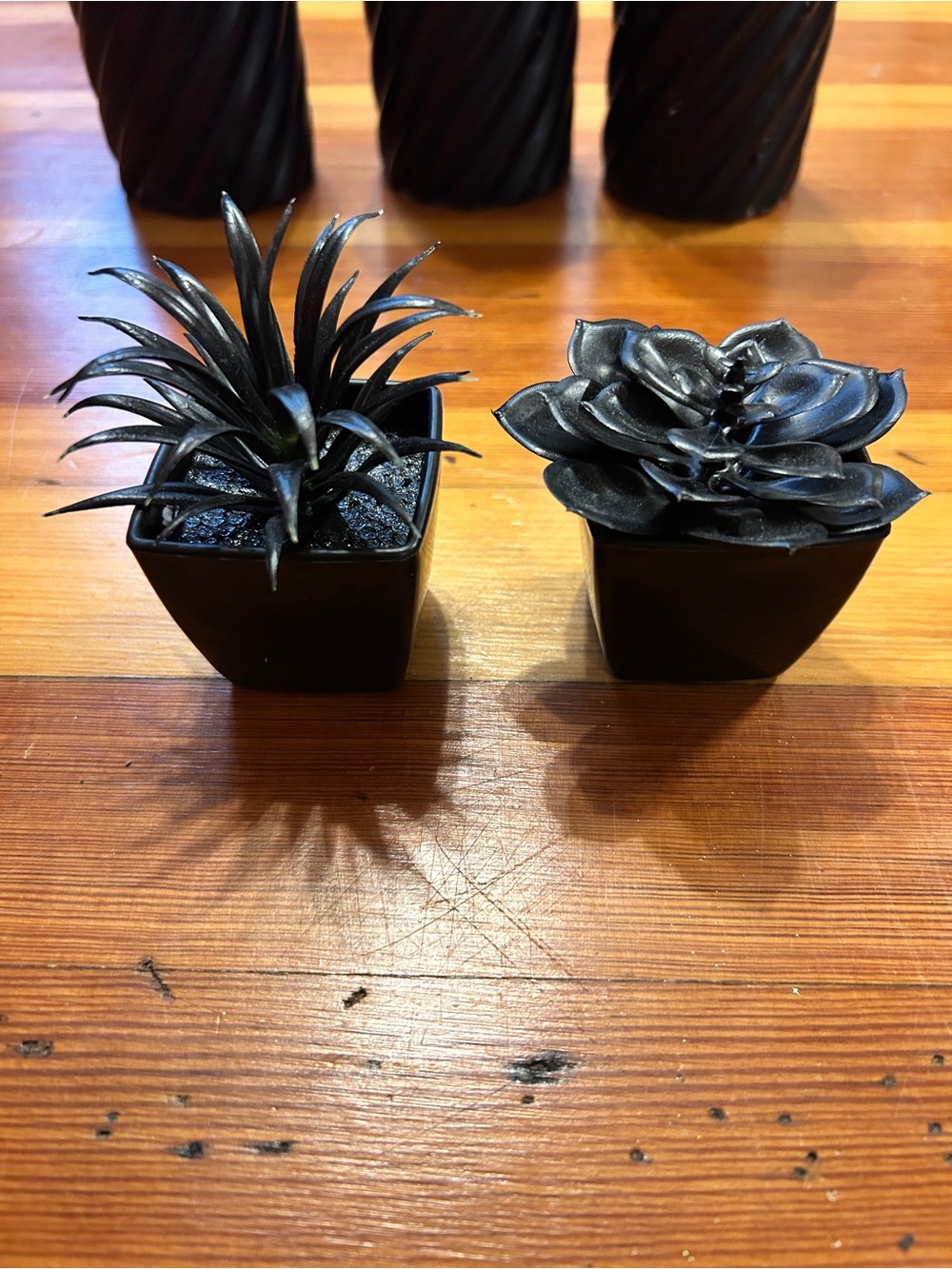 Black Faux Succulent Pair in Square Planters - Modern Home Accents